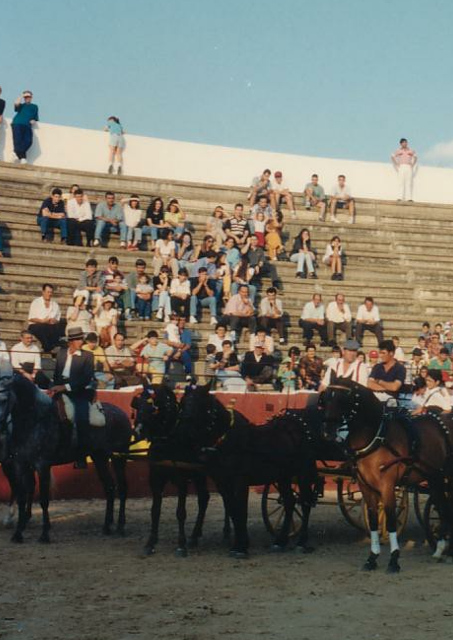 Feria del Cristo 1996