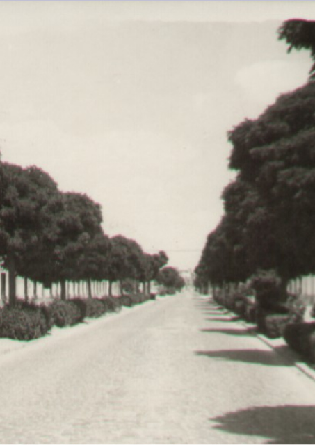 Parajes de Bolaños en el siglo XIX: Ermita de los Santos Mártires