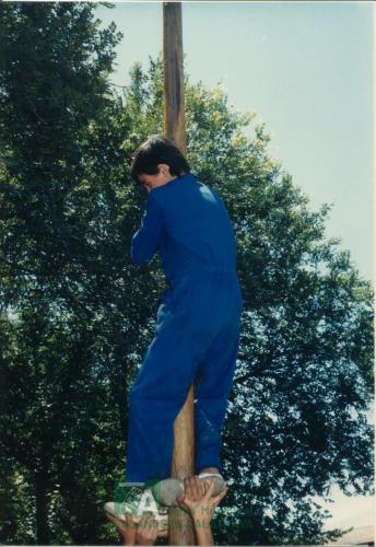 1989, Feria de Julio, Prueba cucaña