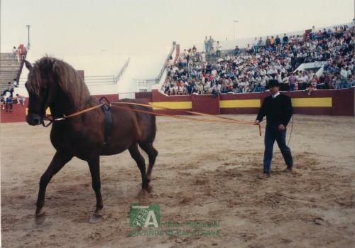 1998, Feria del Cristo, Exhibición Equina