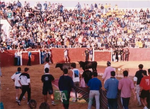 1999, Feria del Cristo, Suelta de Vaquillas