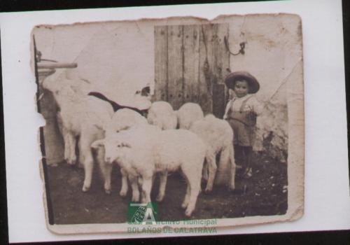 Niño pastor, años 50