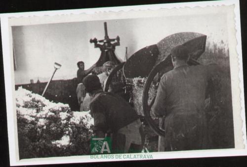 Proceso de elaboración del vino